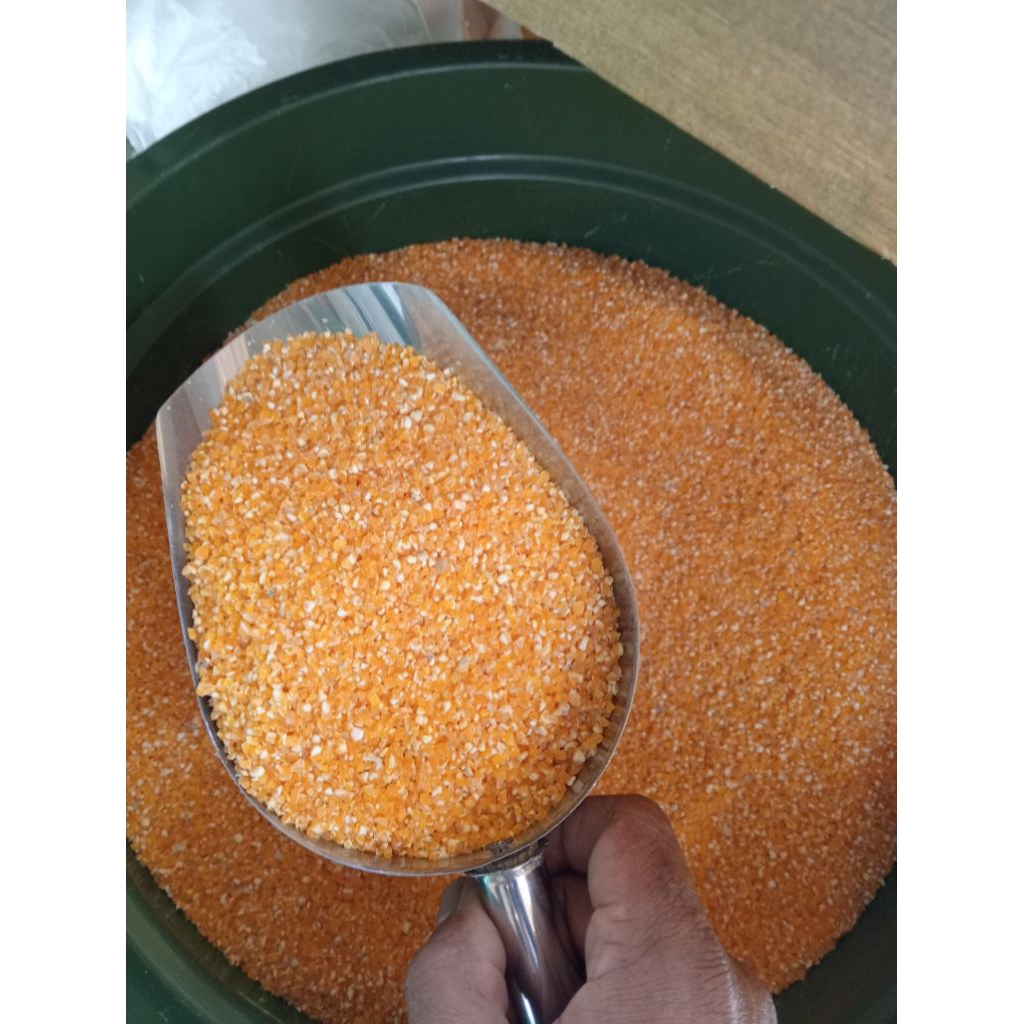 

Beras jagung untuk konsumsi. kemasan 25kg