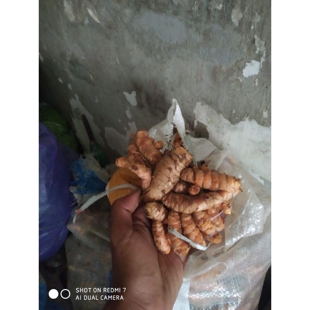 

KUNIR KUNYIT 500gram