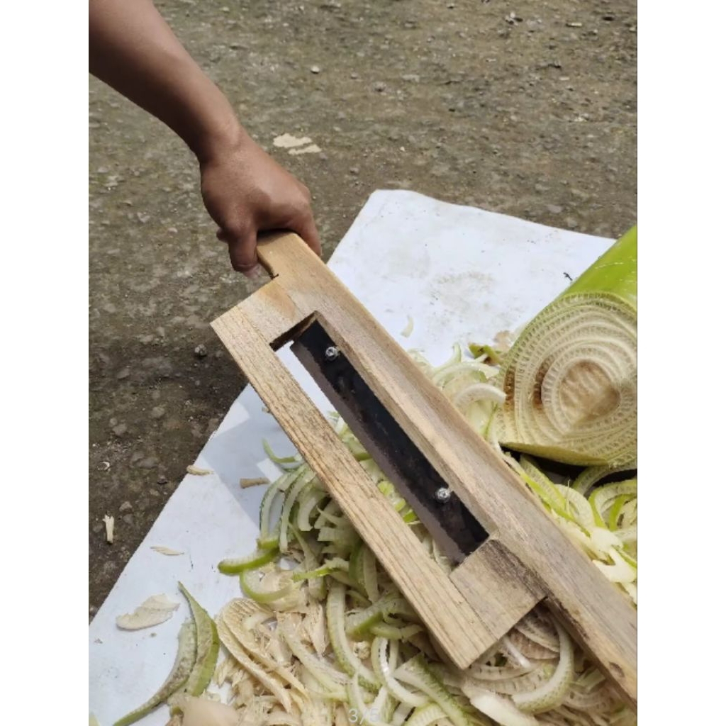 cacah gedebok pisang cacah pohon pisang