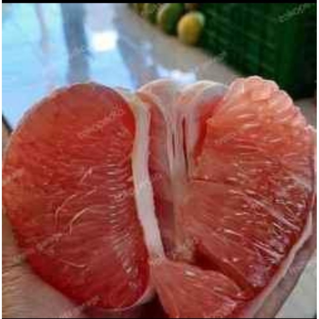 

jeruk pamelo madu 2-2,5kg jumbo mrah manis banyak air