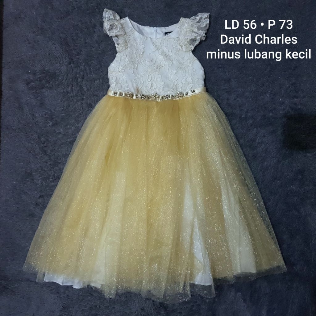 Dress Pesta / Gaun Anak By David Charles Luxury Premium Size 3-4 Tahun Warna Gold Emas Bordir Timbul