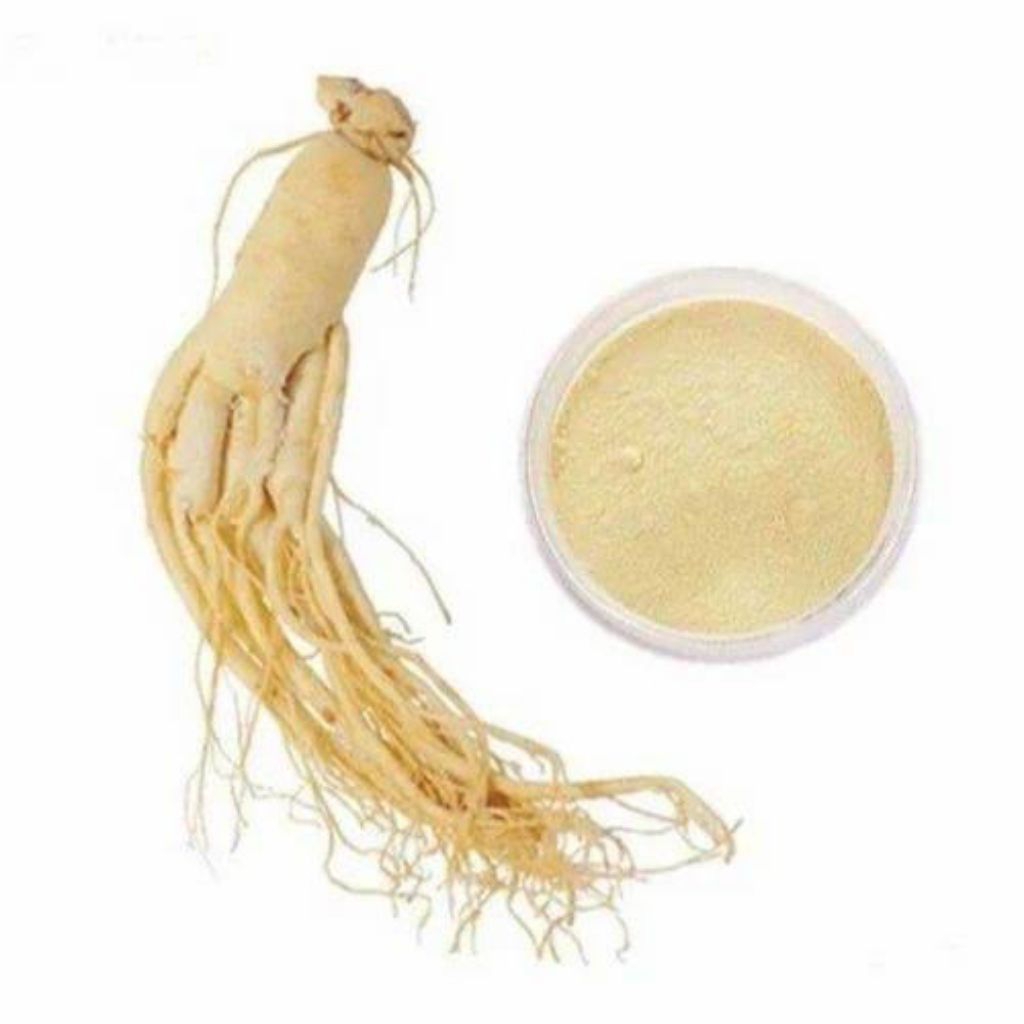 

gingseng / panax bubuk