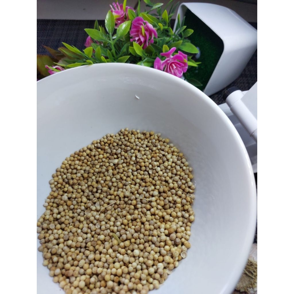 

Ketumbar Alami 200gram Kirim Instan