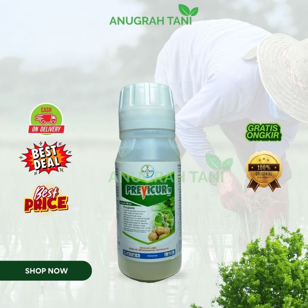Previcur N 100 ml fungisida sistemik penyakit pada bawang merah murah berkualitas
