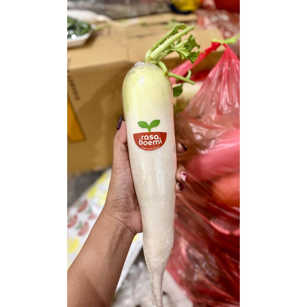

Lobak Putih Fresh / White Radish Berat 1 kg Termurah