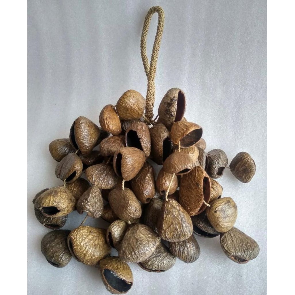 ALAT MUSIK UNIK TRADISIONAL HANDSHAKER KLUWEK/MARAKAS (NATURAL)