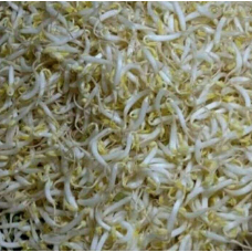 

Toge Segar Medan Daily Market