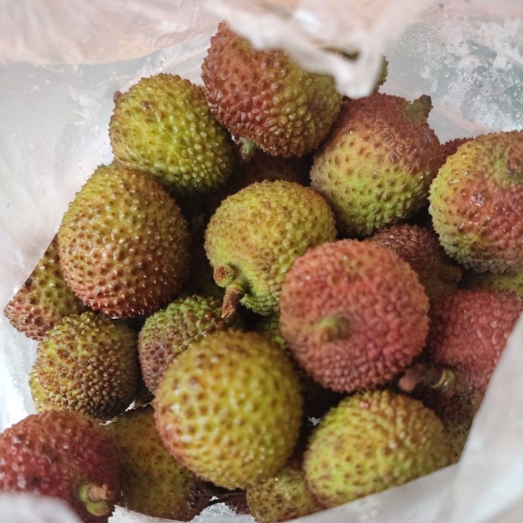 

leci madu