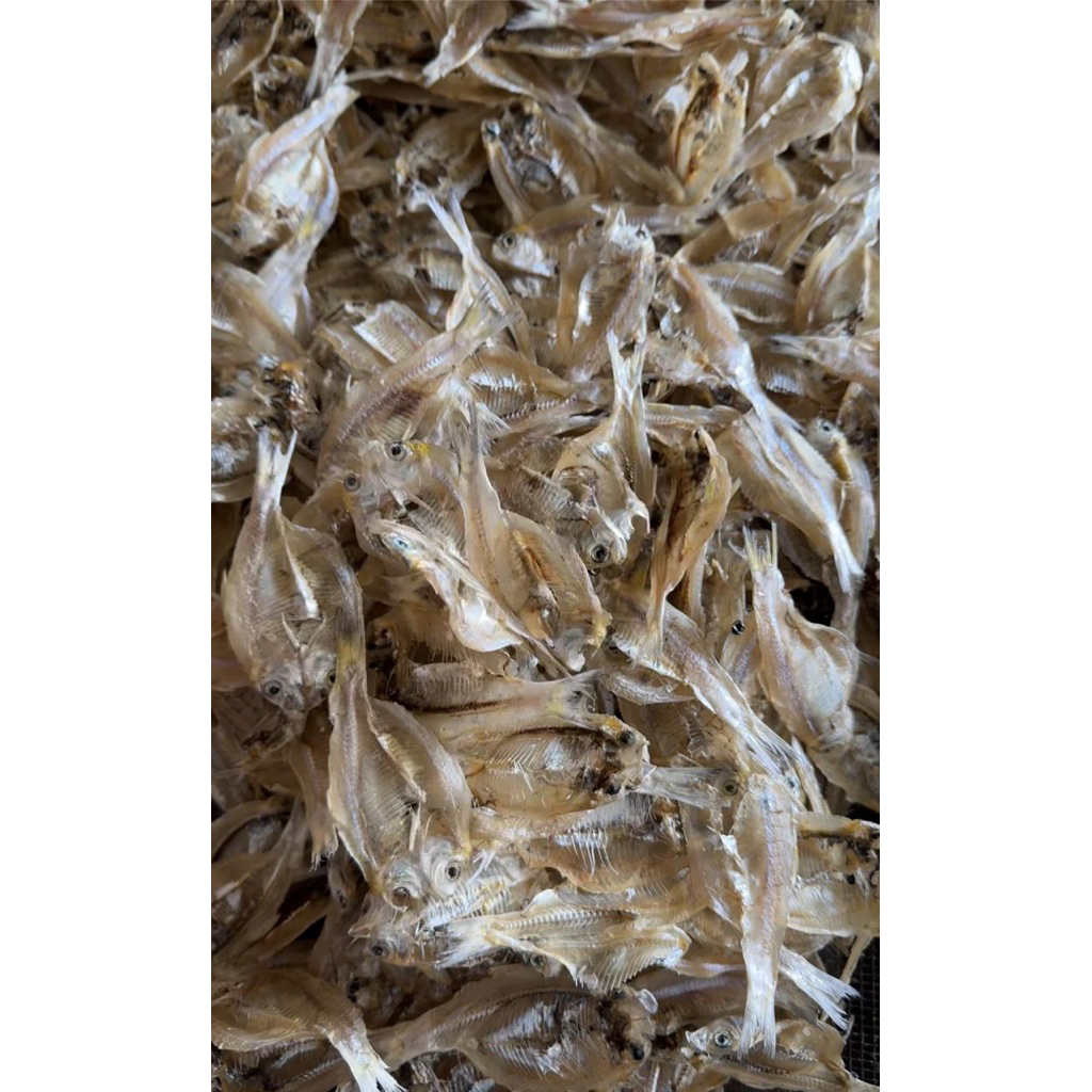 

ikan kelapan