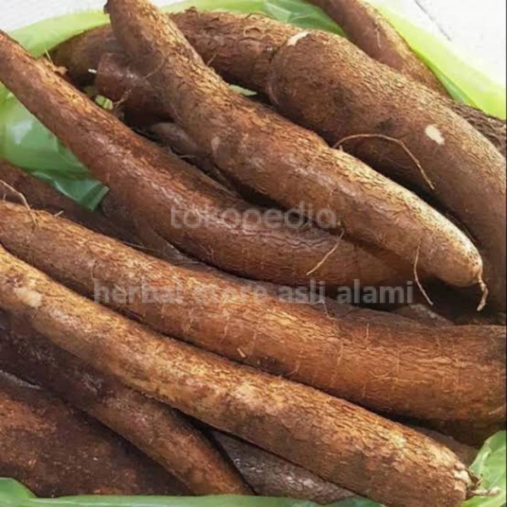 

singkong mentega segar/singkong kuning segar 1 kg