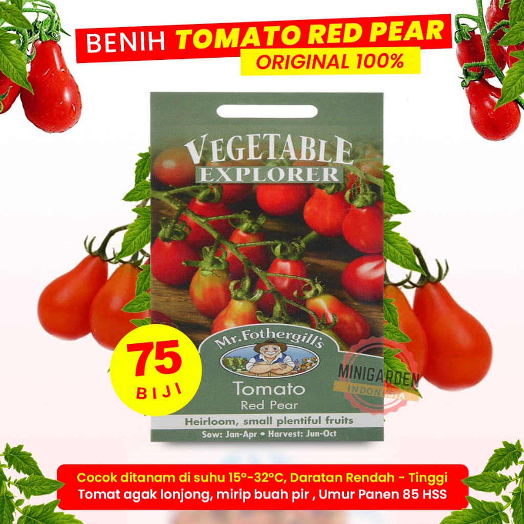 BENIH TOMAT BOTOL RED PEAR PACK 75 BIJI bibit sayur buah tomat cherry merah ceri import f1 Mr. Fothe