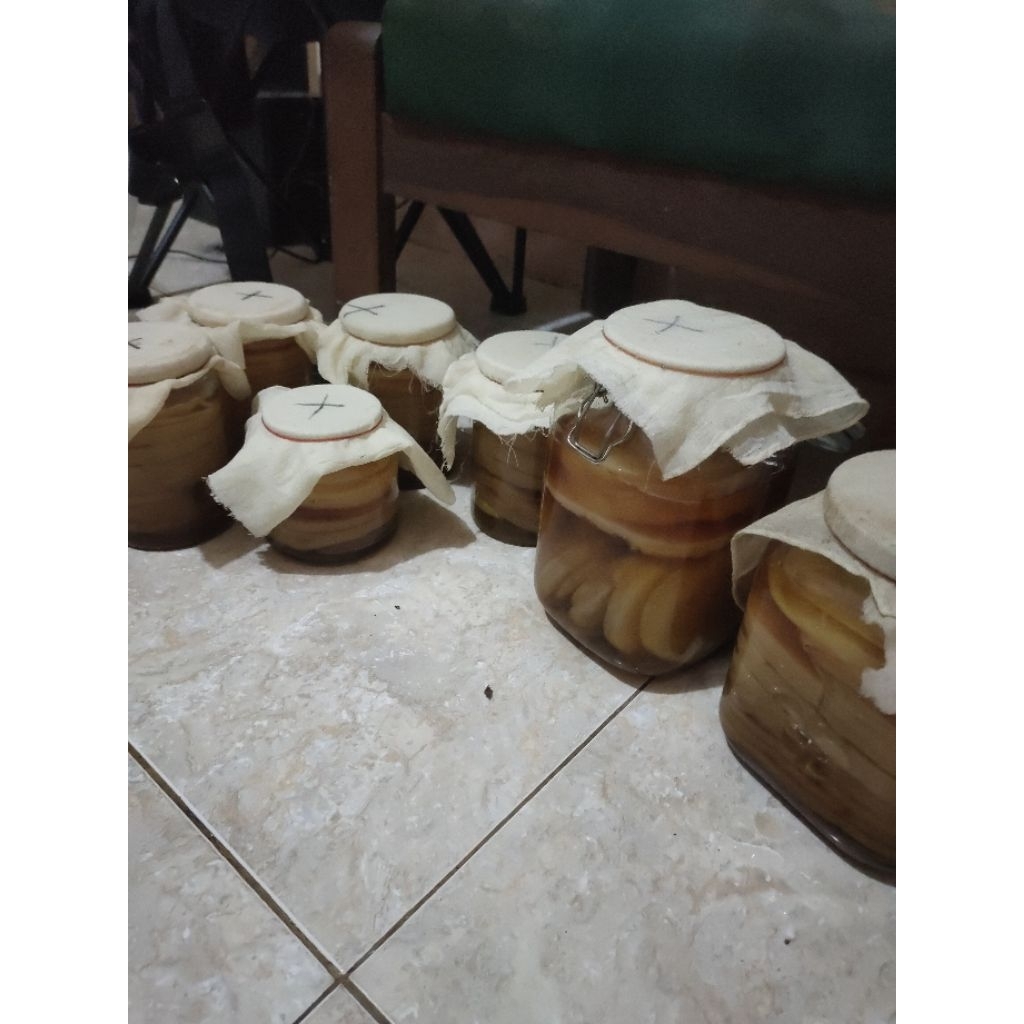 

Air starter kombucha cepat produksi scooby