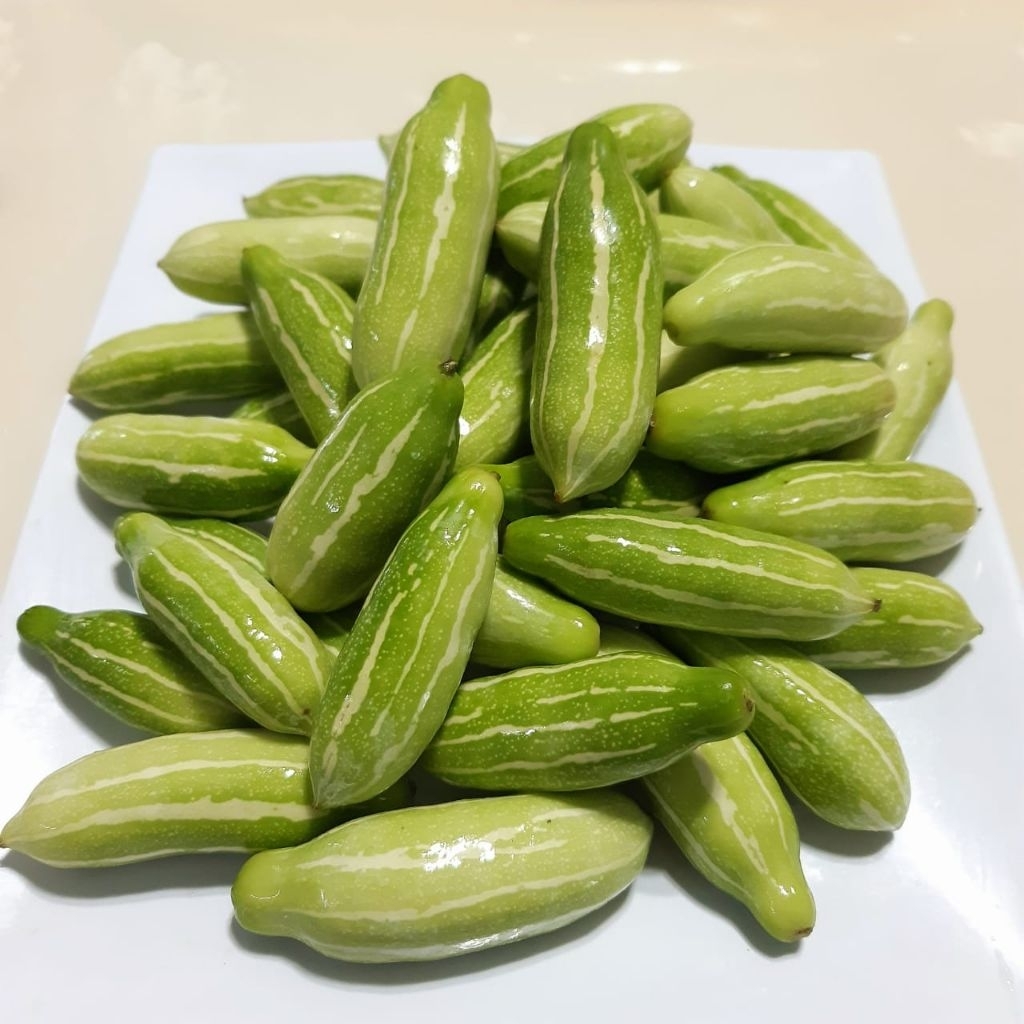 

[100gr] Coccinia Grandis | Timun Padang | Timun Tikus | Timun Mini | Baby Timun | Mini Cucumber | Baby Cucumber