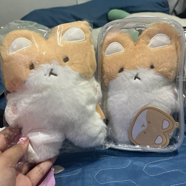 READY Teolaegi 20cm Baekhyun