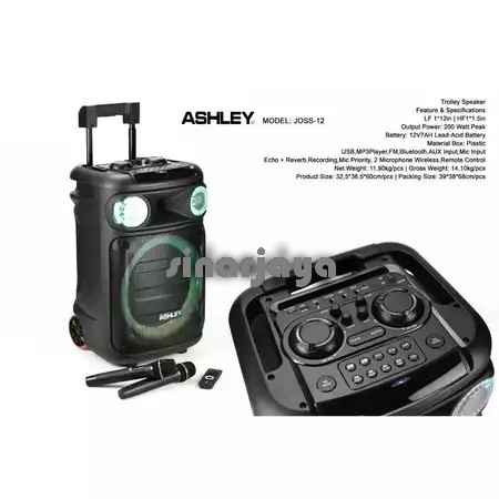 speaker portable wireless ashley Joss 12 - 12 inch original bluetooth JOSS12