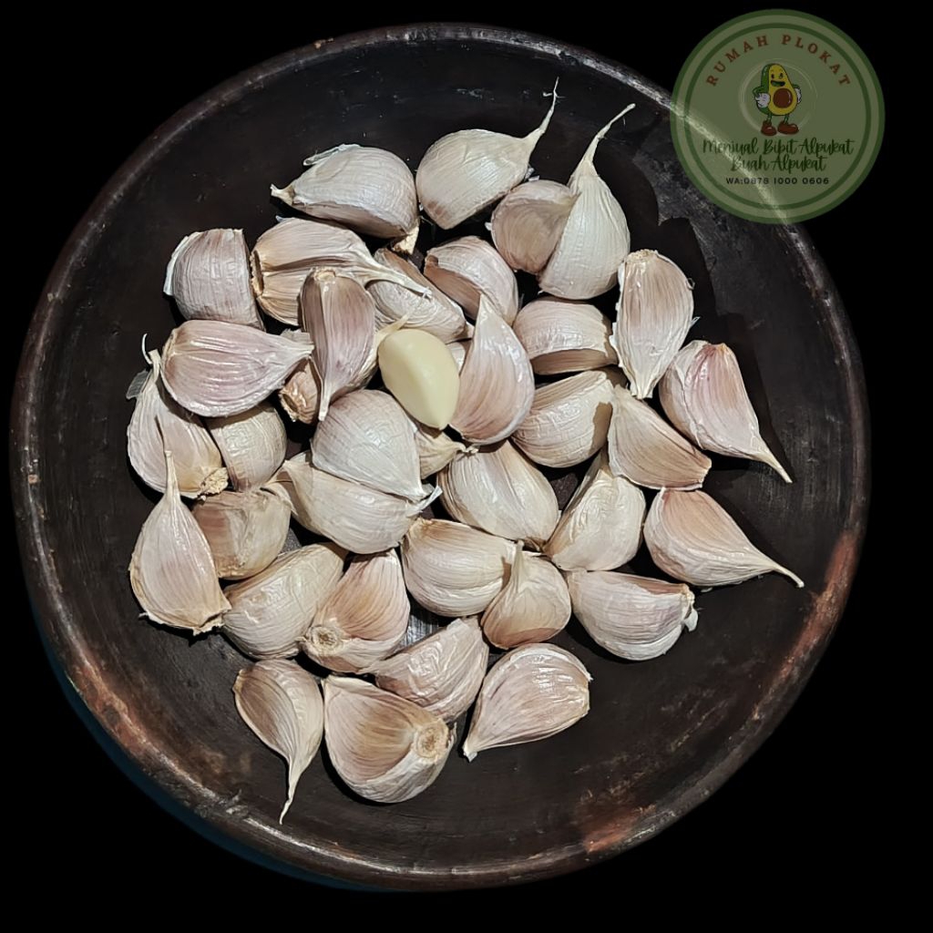 

Bawang Putih Kating 1 kg