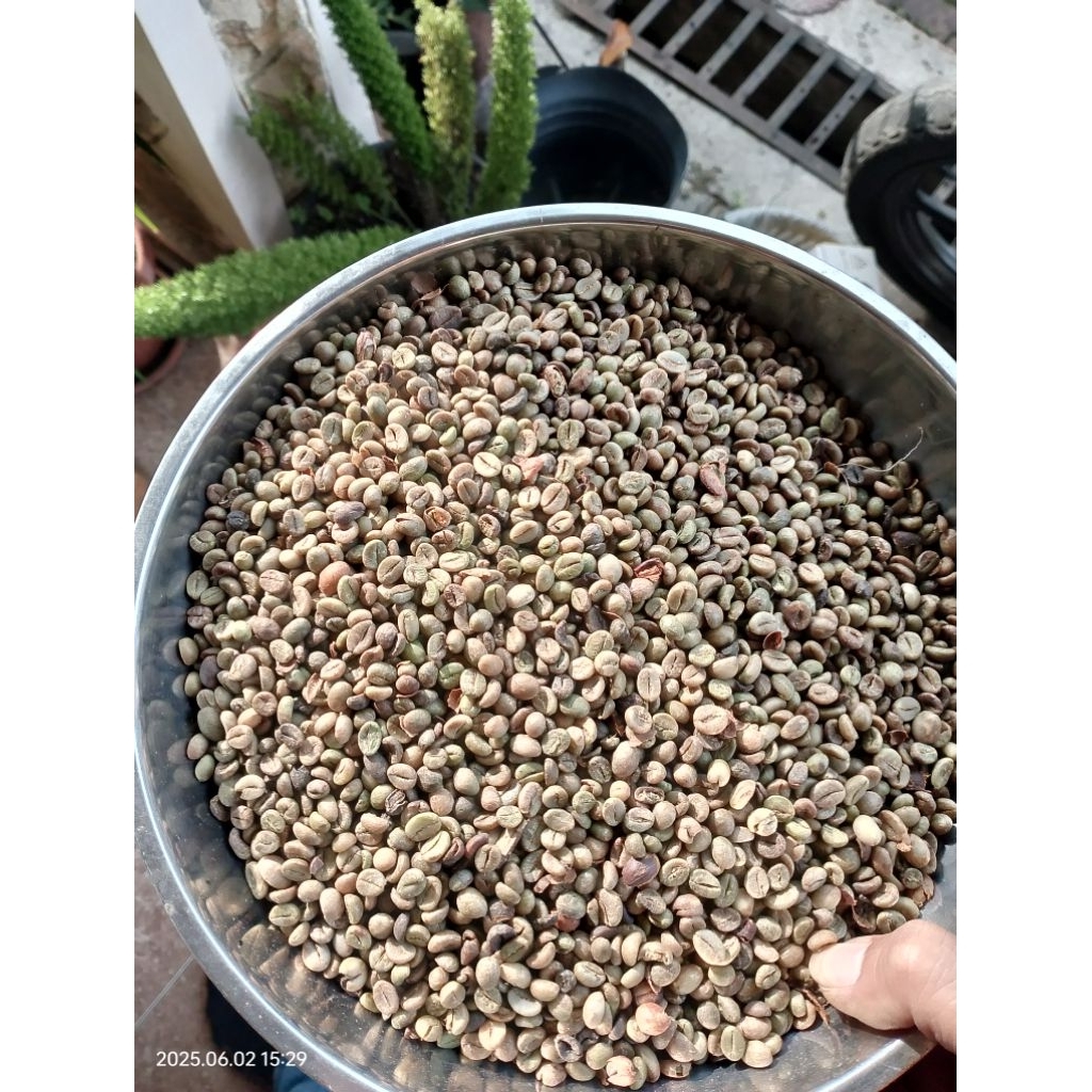 

KOPI ROBUSTA great B