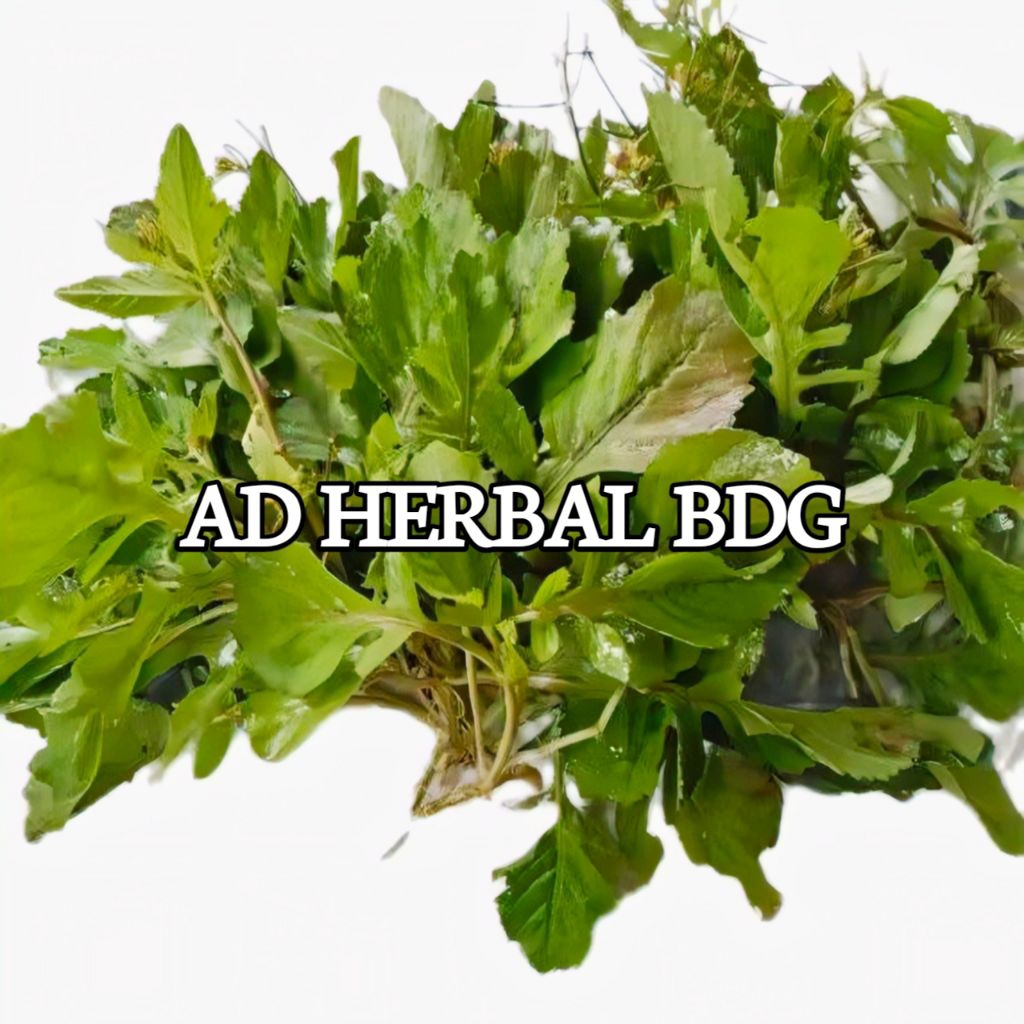 

Daun Sawi Tanah Kamanilan Segar Isi Per 500 Gram