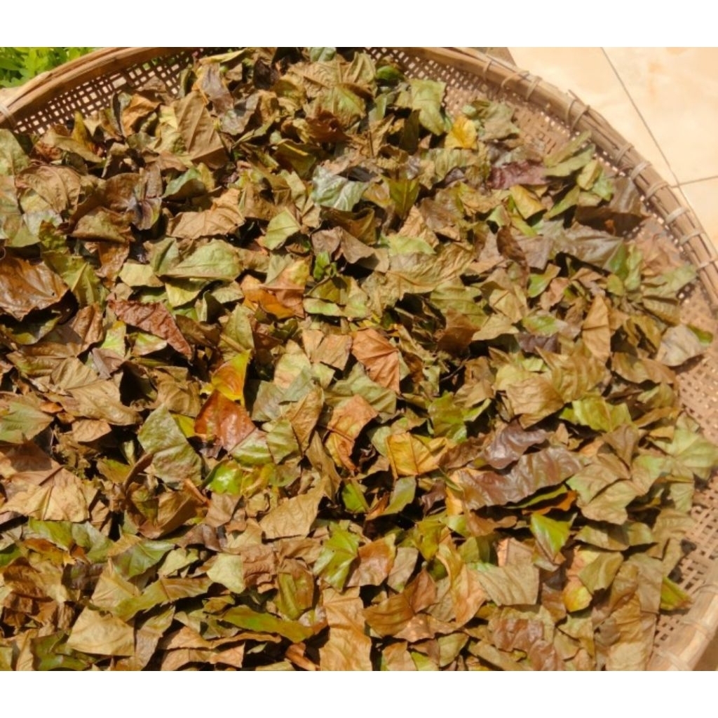 

Daun kopi kering iris natural 100 gram