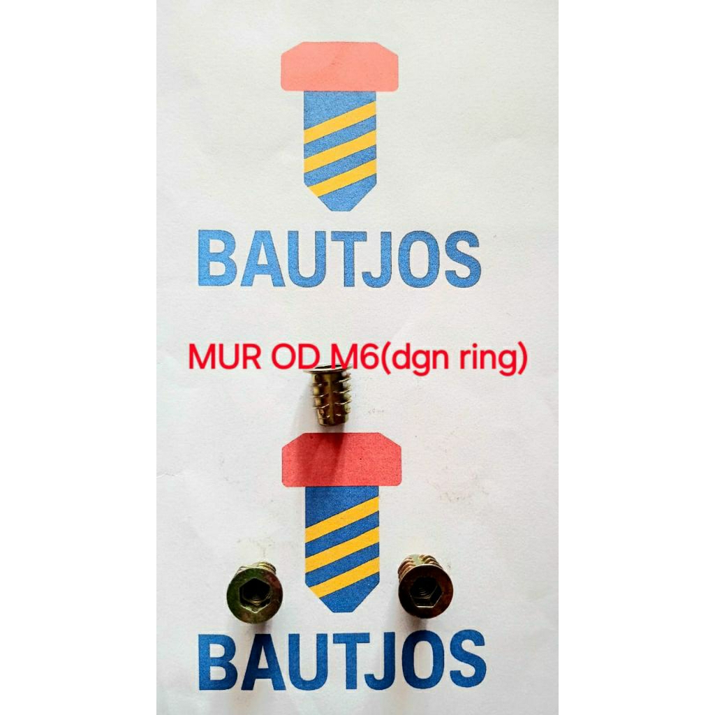 Mur Nanas M6 x 1.3cm OD (Dengan Ring) / Mur Furniture Knockdown Tanam Nanas M6 x 1.3cm1. Biasa digun