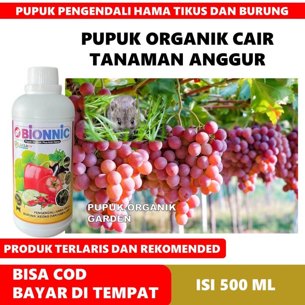 (PUPUK ANGGUR UNGU) BIONNIC 500 ML Obat Pelebat Buah Anggur & Penyubur Akar, Daun, Batang Anggur Ala