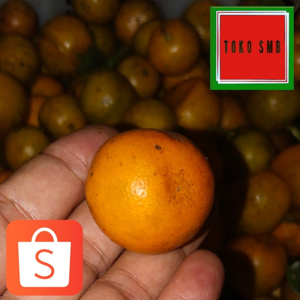 

Jeruk Kunci kuning Asam khusus Sameday dan instan