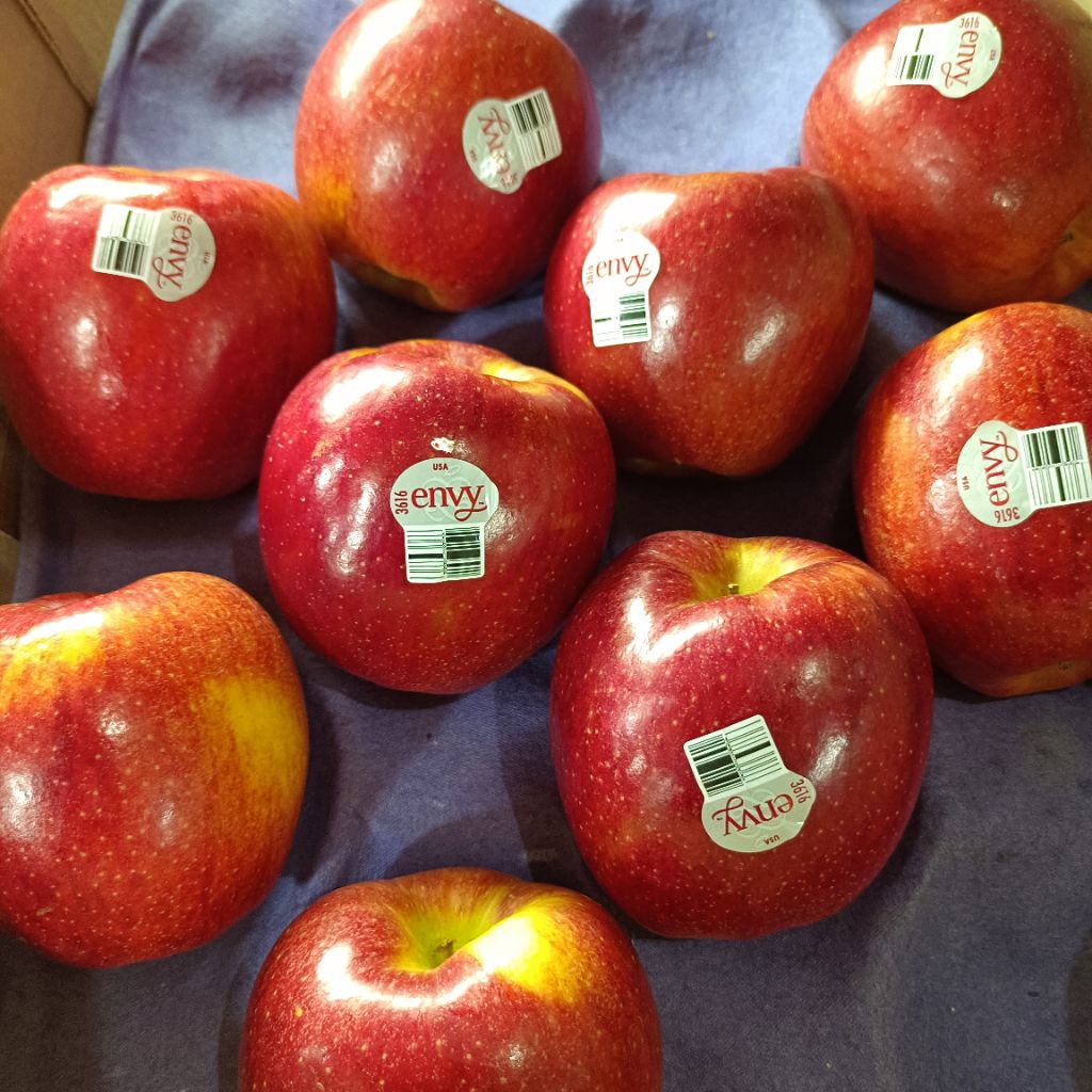 

BUAH APEL ENVY USA APEL MANIS GARING RENYAH