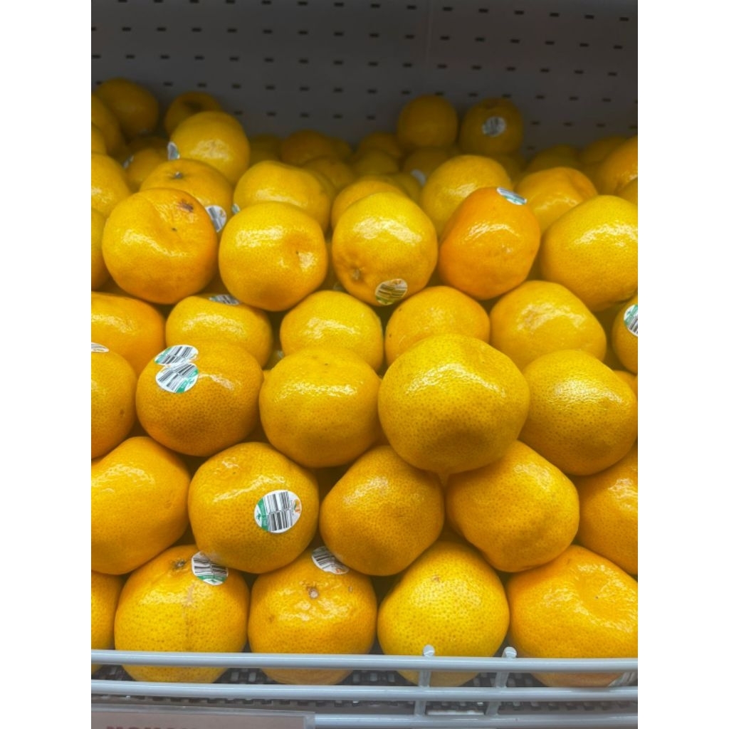 

Jeruk Imperal Australia Seedless 1 Kg