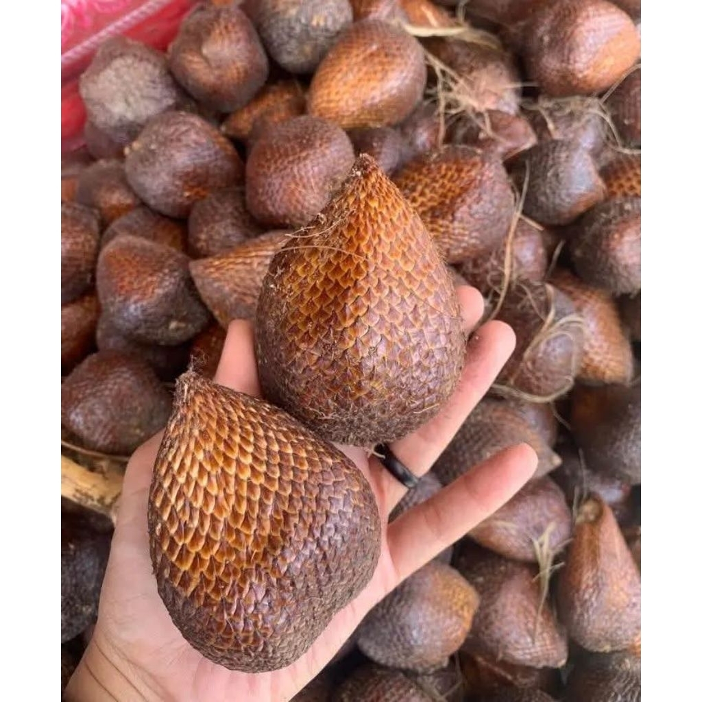 

Buah Salak Manis Poll