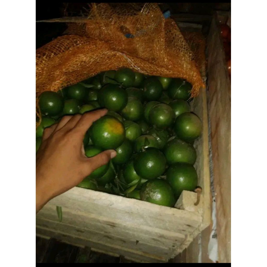 

jerukbwmaniskulittipis