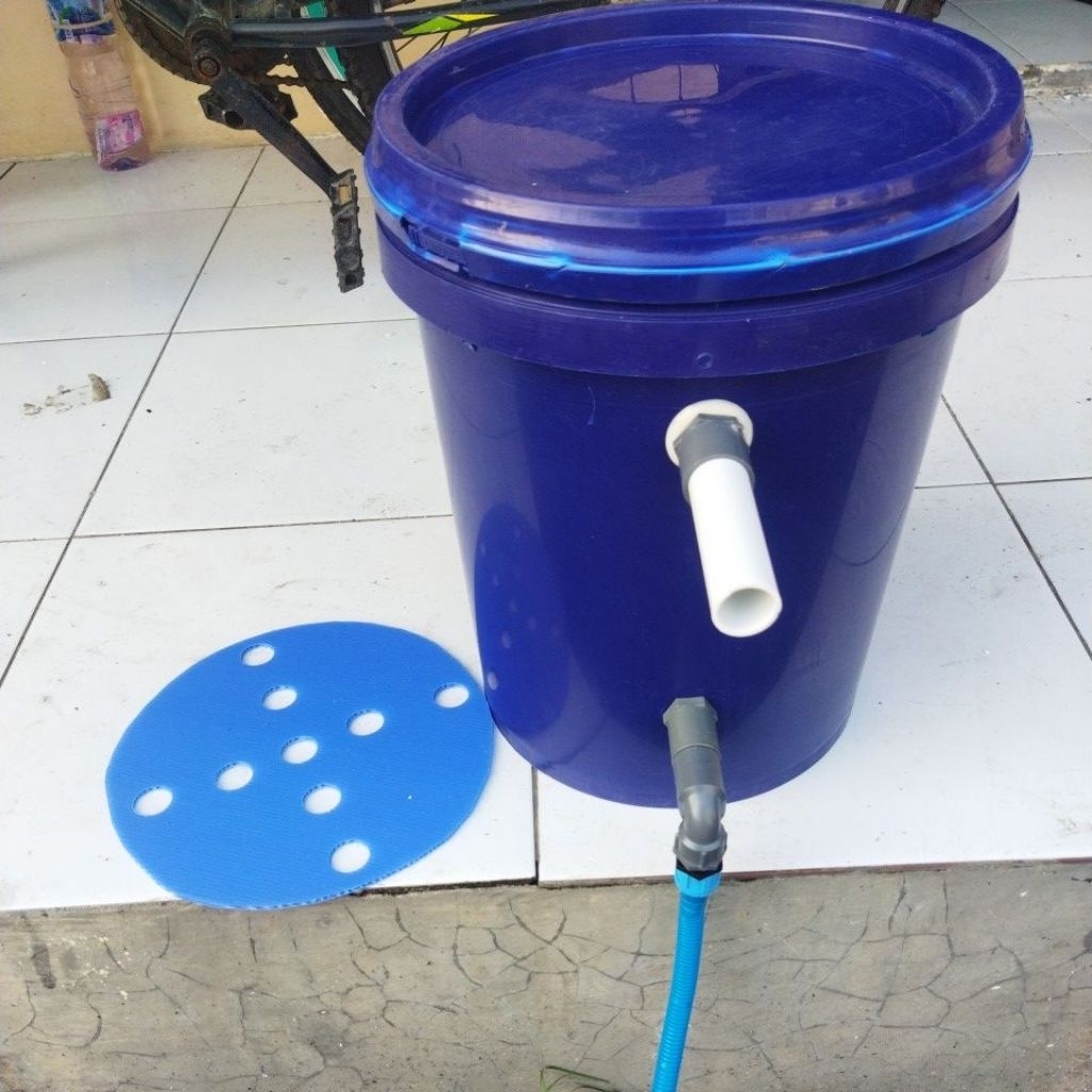 warna biru, ember filter kolam ikan koi, nila, lele, lobster FREE SELANG