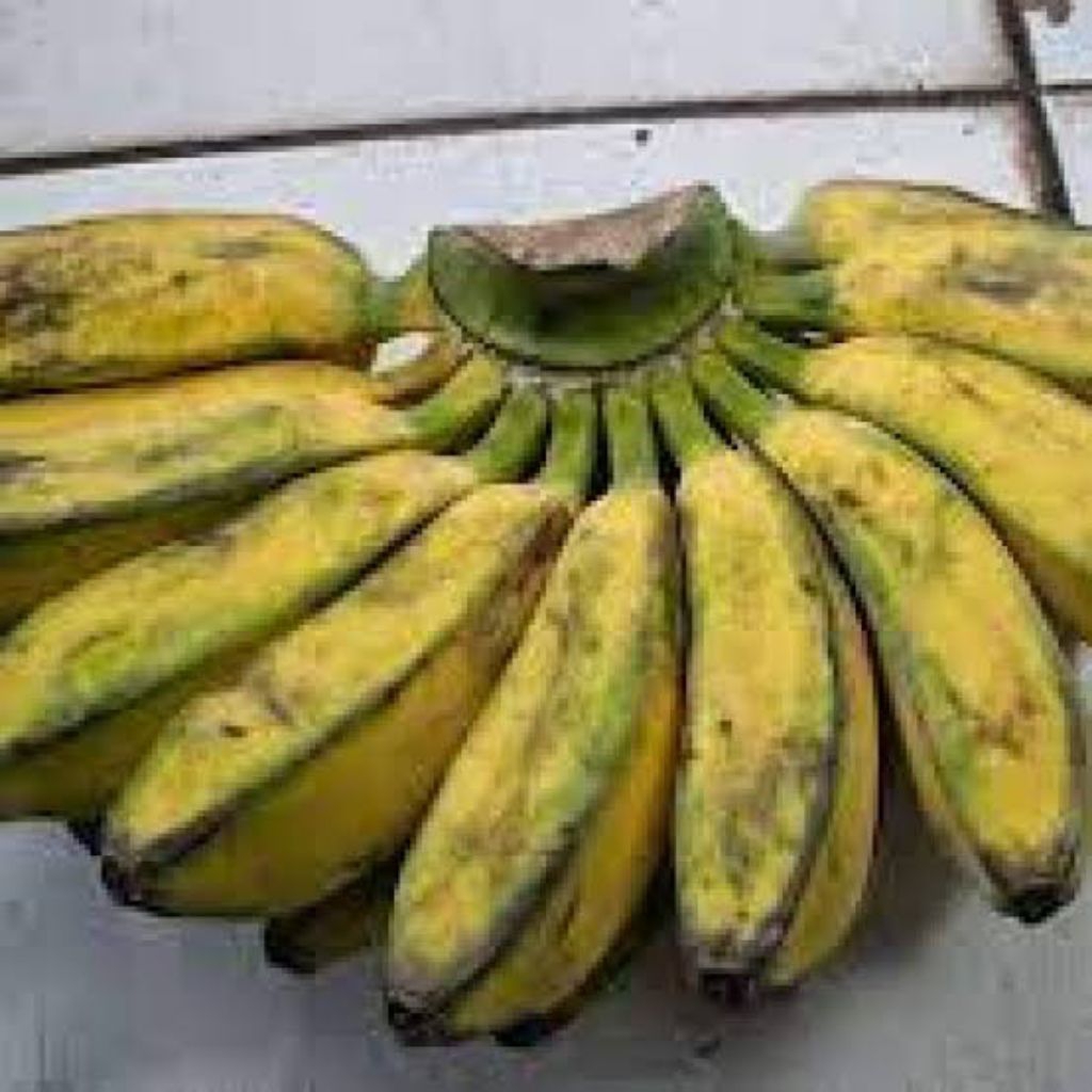 

Pisang Kepok 1 Sisir Pisang Lampung