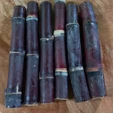 

Tebu Hitam Segar Panjang 30 cm – Siap Olah untuk Minuman Sehat, Rebusan Herbal, atau Bibit Tanam