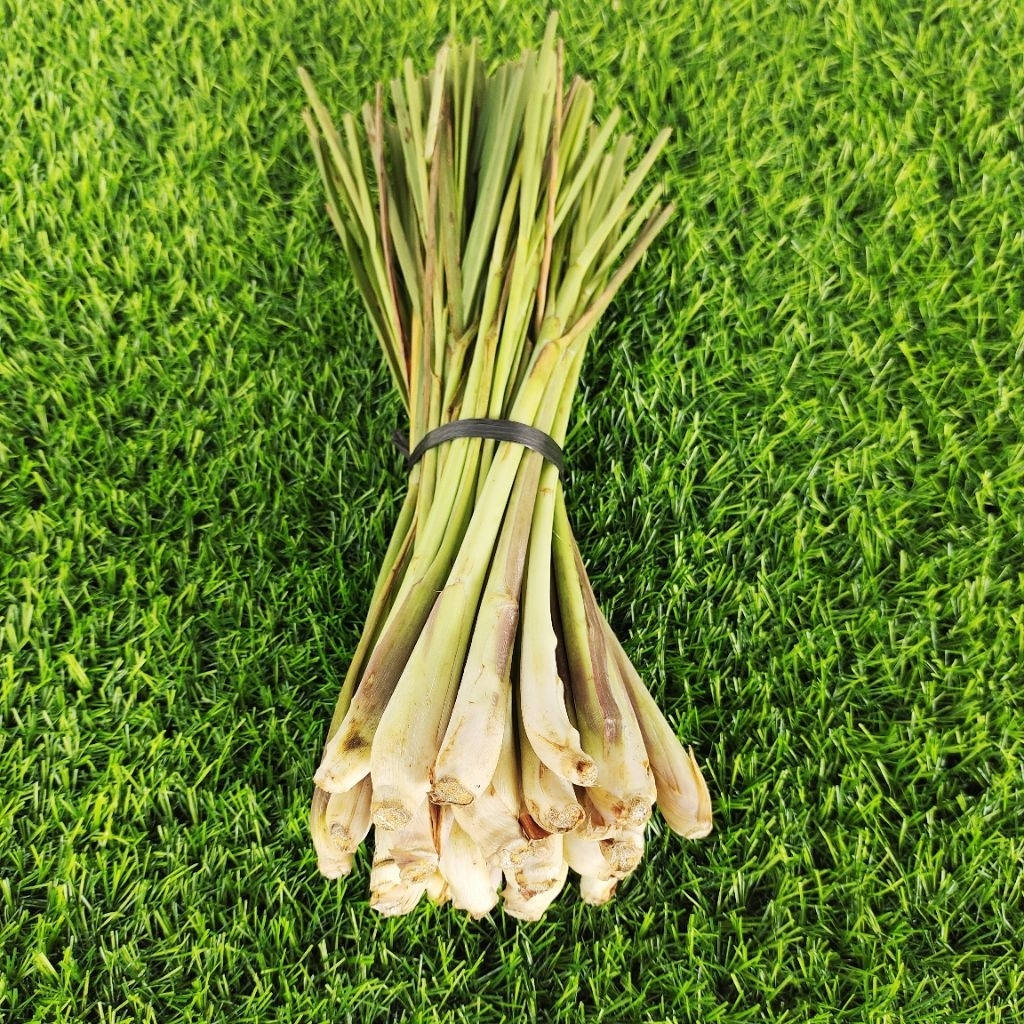 

SEREH SEGAR 1 IKAT 500 GR