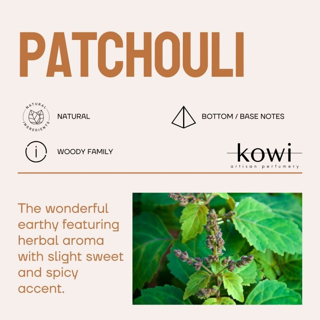 PATCHOULI ESSENTIAL OIL