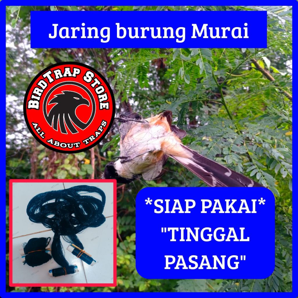 Jaring burung murai 10 meter, jaring burung murai siap pakai tinggal pasang panjang 10m, jebakan bur