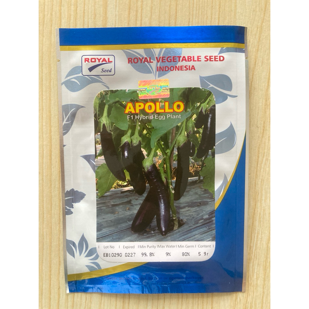 BENIH  TERONG APOLLO F1 ISI 5 GRAM ROYAL SEED