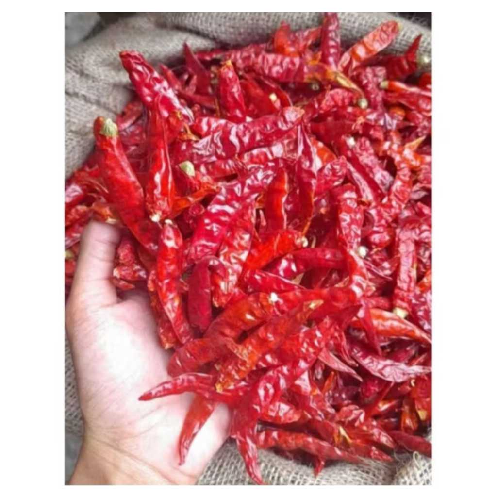 

Cabai Kering / Cabe Kering Teja India Grade A 1kg Tanpa Tangkai Super Pedas