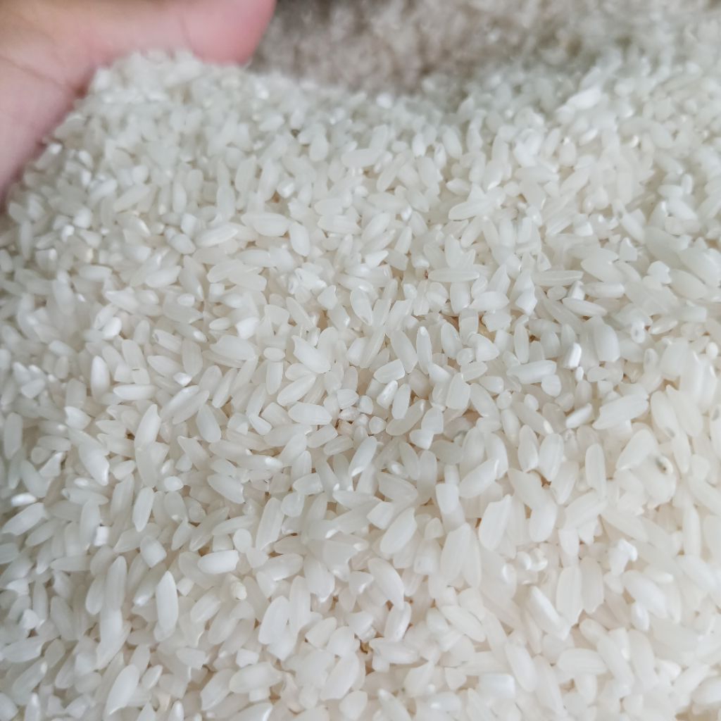

BERAS SOLOK/BERAS MUDIK ASLI (5KG) TERMURAH