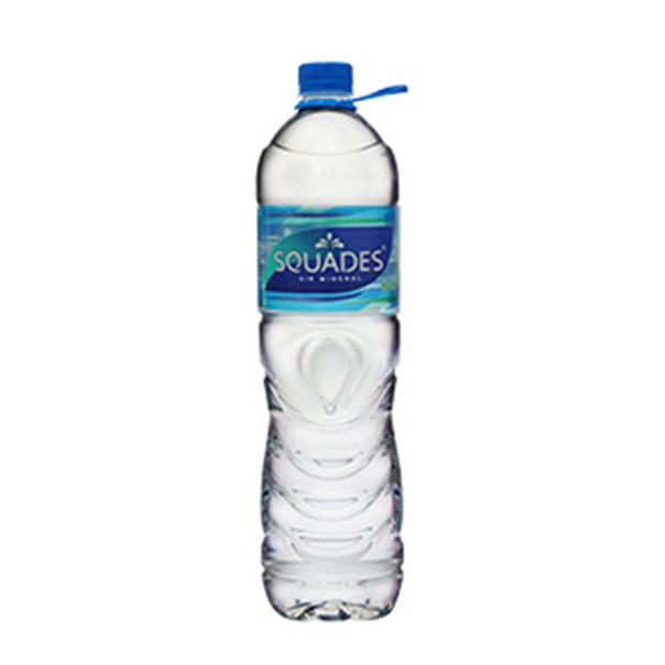 

SQUADES AIR MINERAL BTL 1,5 LTR 8993130888131