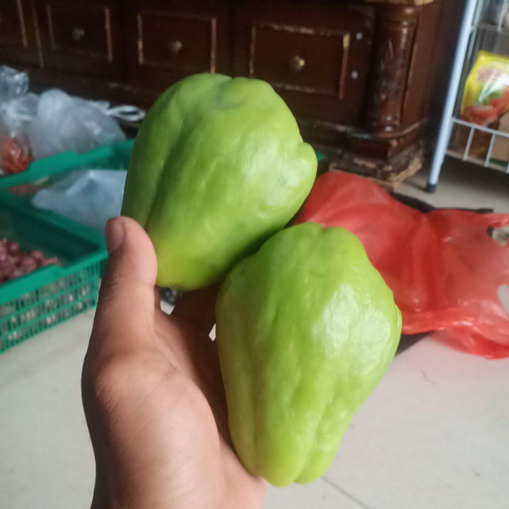 

labu siam besar