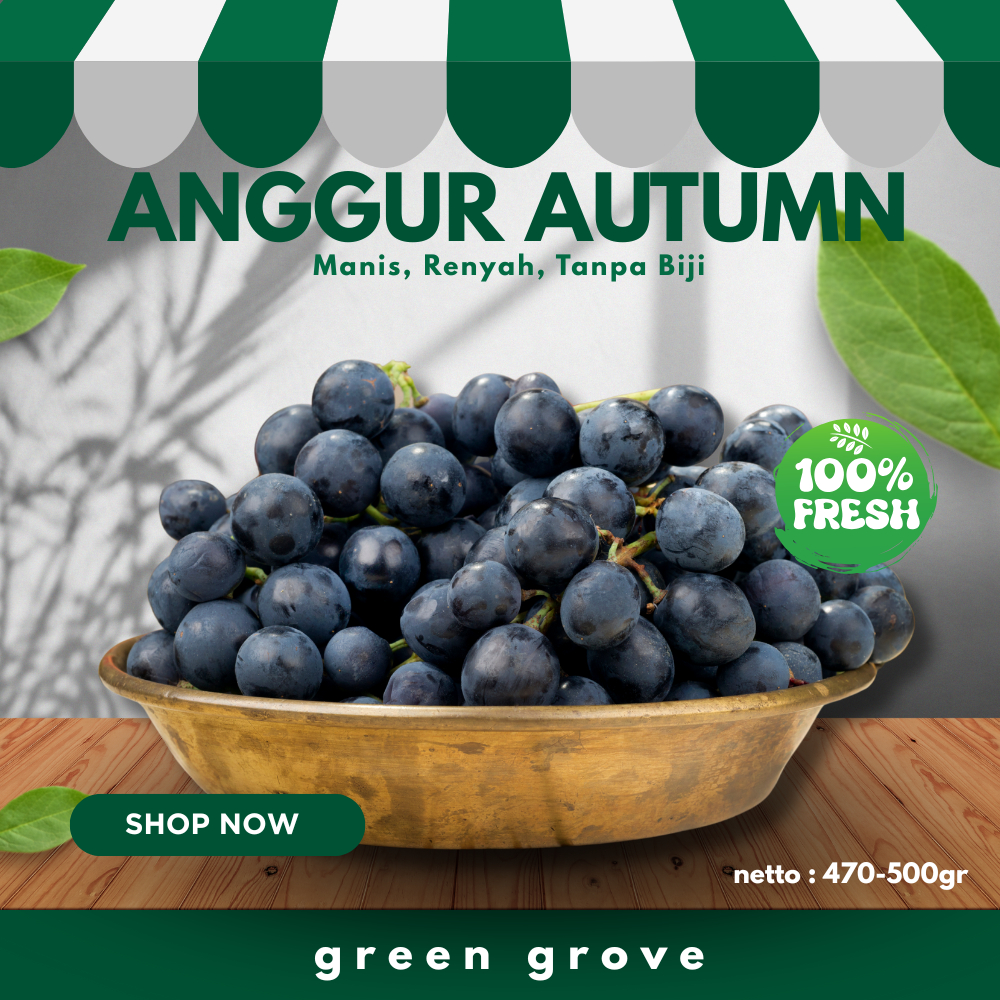 

Anggur Autumn Seedless 500gr – Rasa Manis Alami & Segar