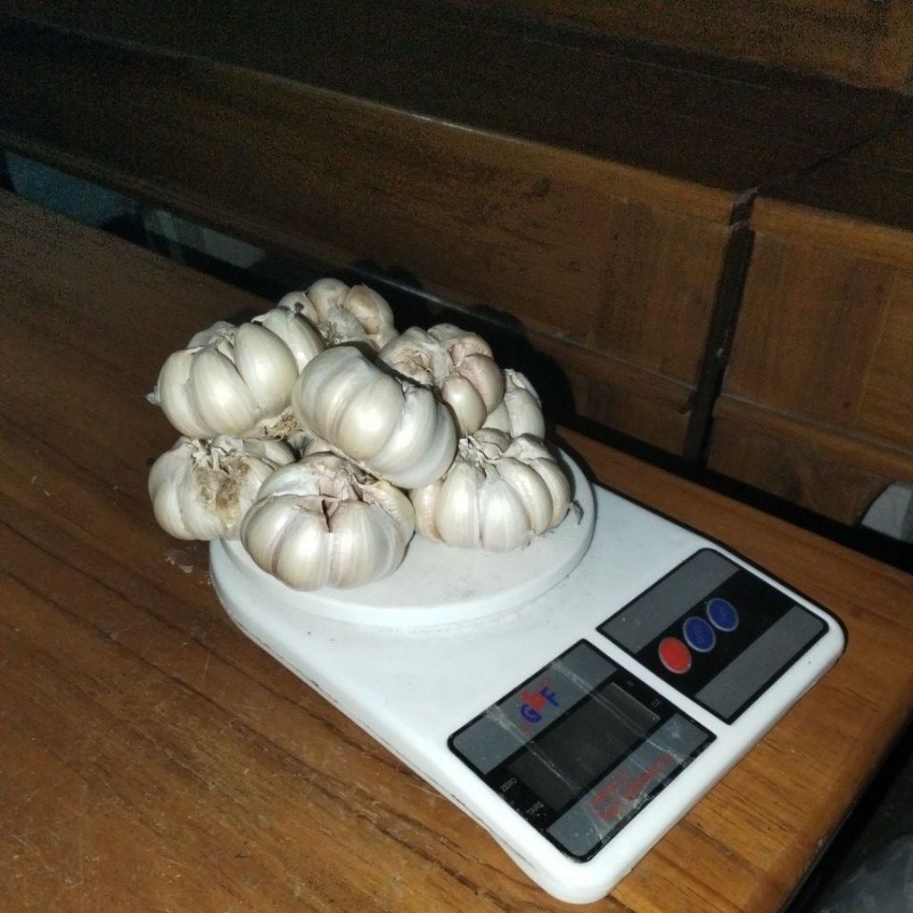 

Bawang putih honan 1kg