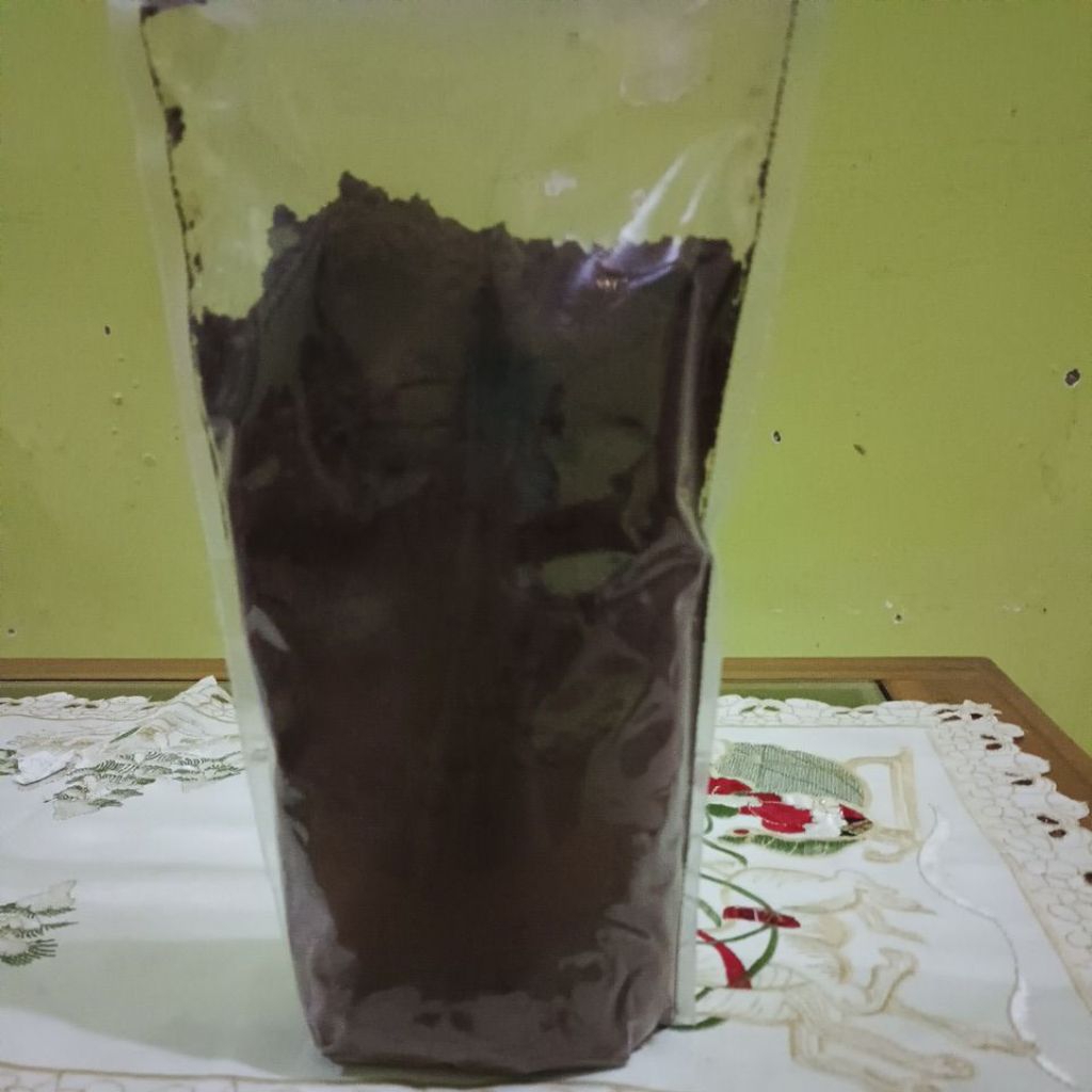 

kopi robusta bengkulu