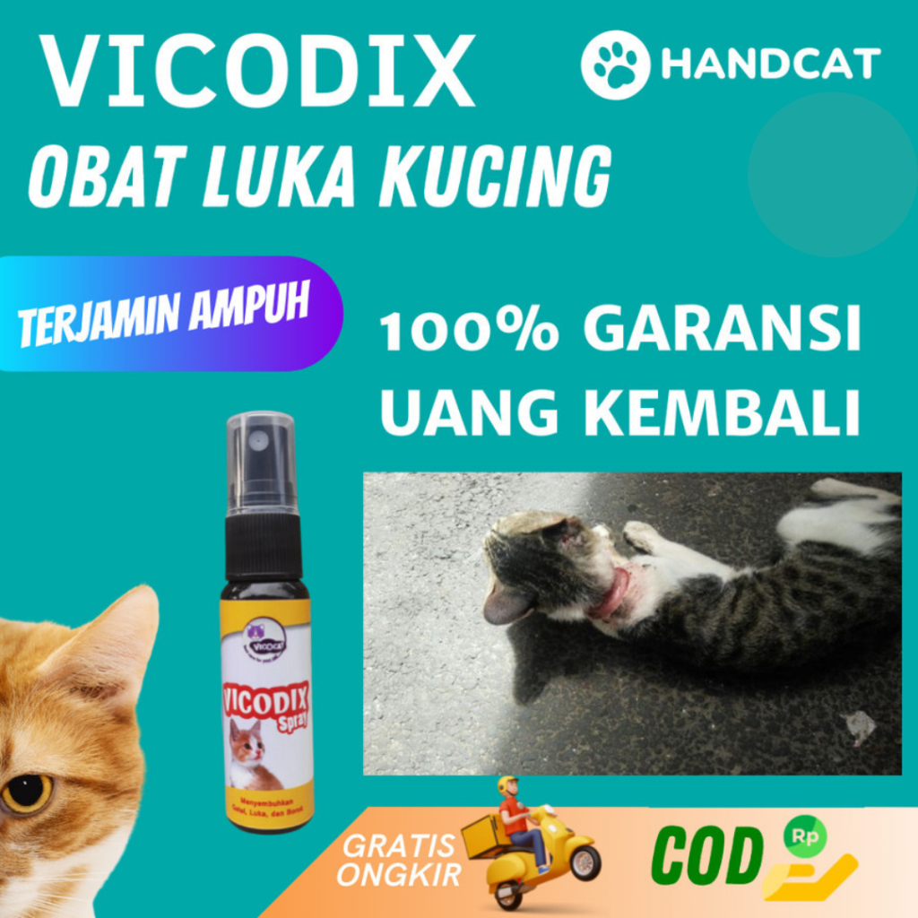 Vicodix – Solusi Obat Luka Kucing Terbaik Luka Kering 3x Lebih Cepat