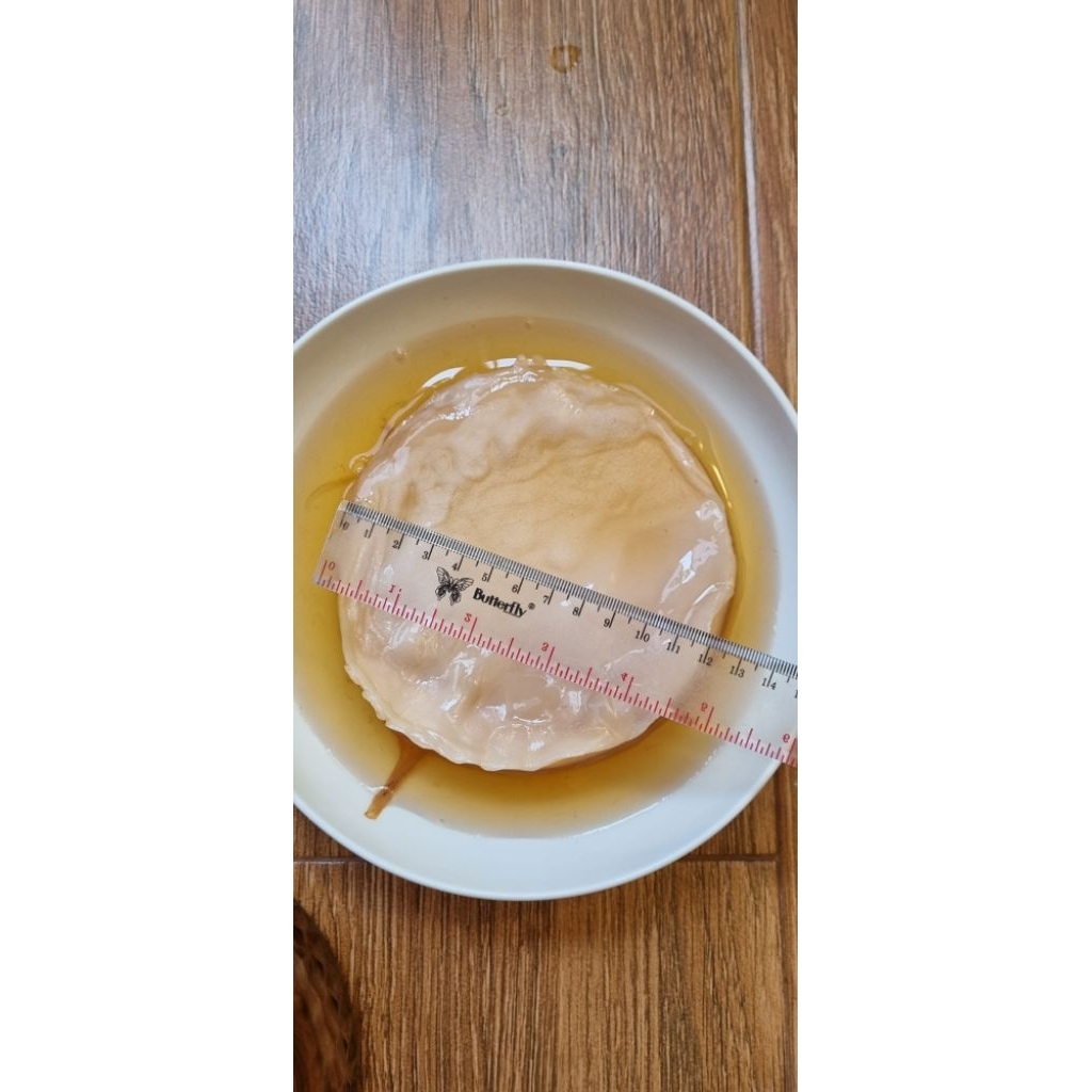 

SCOBY Bali Kombucha