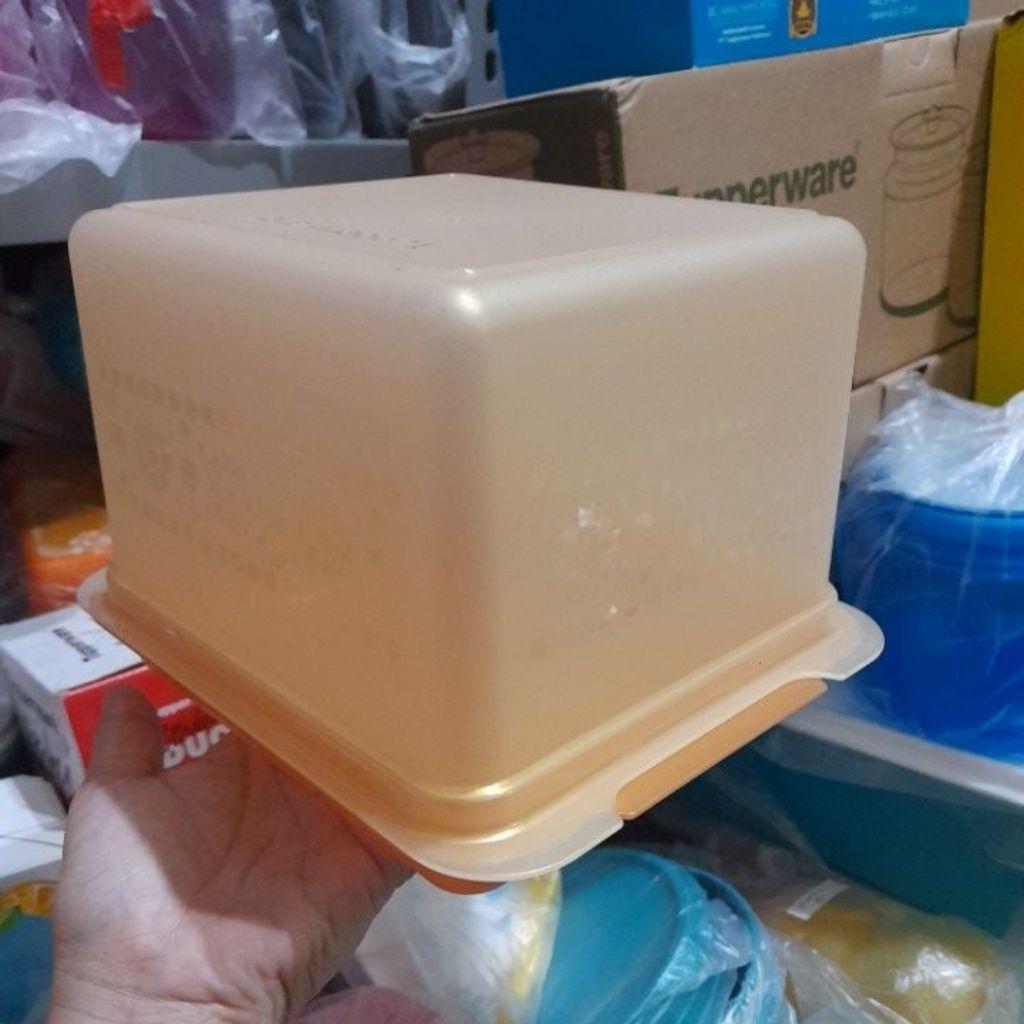 TUPPERWARE BREAD SAVERS WADAH ROTI