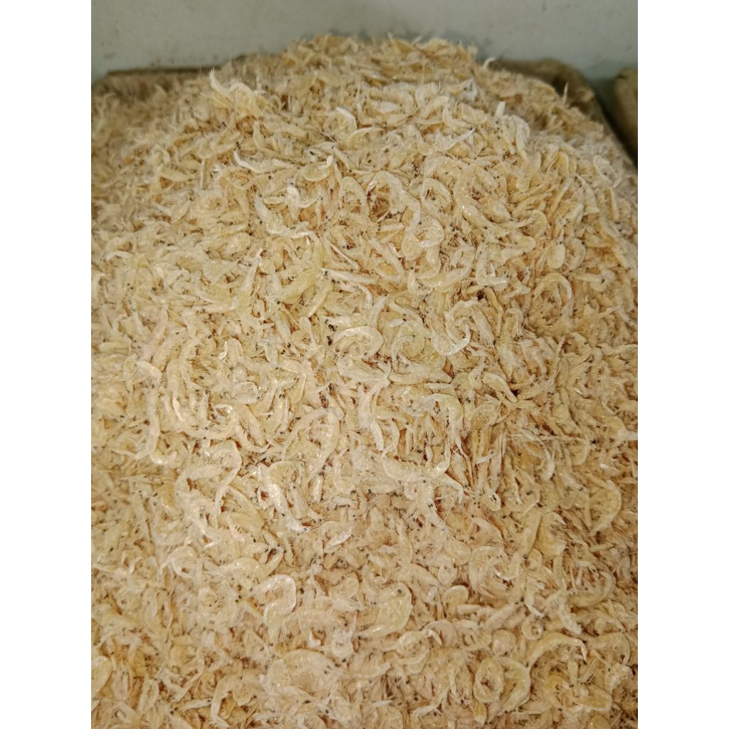 

IkanAsin Rebon TAWAR store original