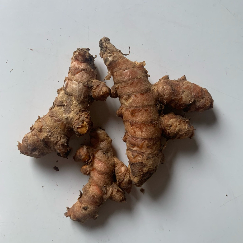 

Kunyit segar 1 kg fresh segar nabatinaa / bersih / Temu putih di ambil langsung dari kebun