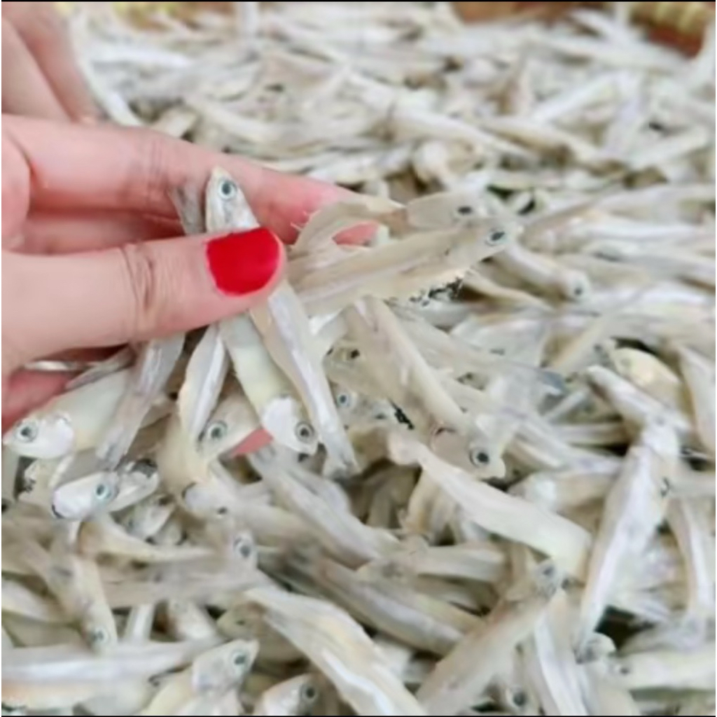 

TERI JENGKI ASIN 500 GR KUALITAS PREMIUM